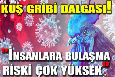 Koronavirüs, Omicron derken şimdi de kuş gribi dalgası!