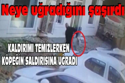 Kaldırımı temizlerken köpeğin saldırısına uğradı