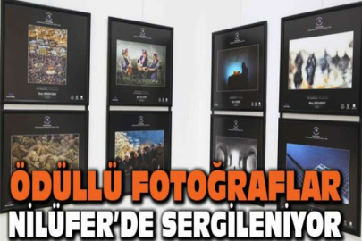 Ödüllü fotoğraflar Nilüfer’de