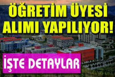 İstinye Üniversitesi Öğretim Üyesi alım ilanı