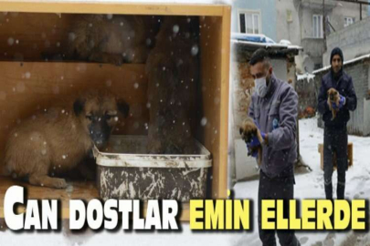 Can dostları emin ellerde