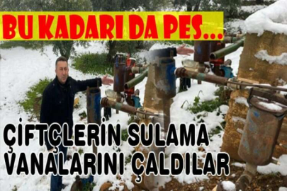 Çiftçlerin sulama vanalarını çaldılar