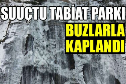 Suuçtu Tabiat Parkı buzlarla kaplandı