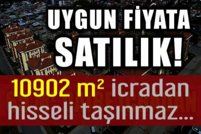 Giresun Merkez'de icradan satılık 10902 m² fundalık ve koruluk nitelikli hisseli taşınmaz