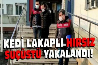 Kedi lakaplı hırsız suçüstü yakalandı