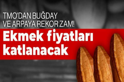 Buğday fiyatı rekor kırdı! Ekmek fiyatına zam mı yapılacak? Federasyon başkanı açıkladı