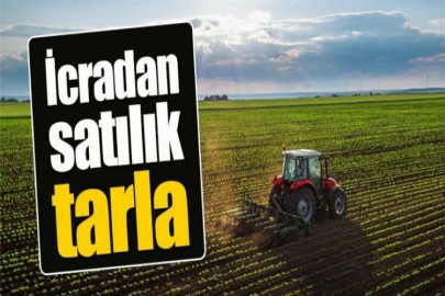 Hakkari Şemdinli'de icradan satılık tarla vasıflı arsa (çoklu satış)