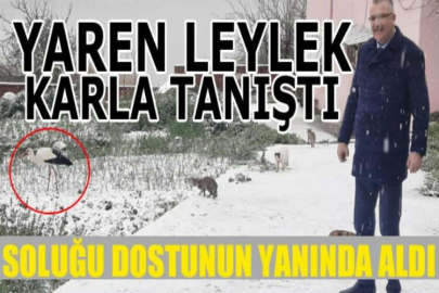 Yaren Leylek karla tanıştı, soluğu dostunun yanında aldı