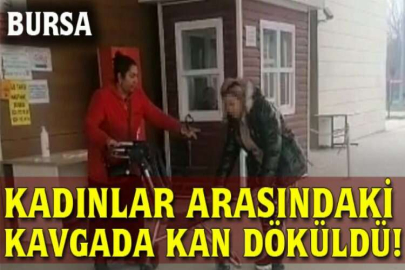 Kadınlar arasındaki kavgada kan aktı