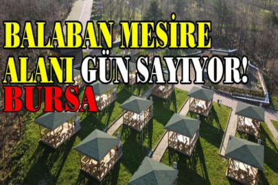 Balaban Mesire Alanı gün sayıyor