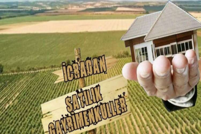 Hatay Hassa'da içinde tek katlı konut olan bahçenin 1/2 hissesi icradan satılıktır.(çoklu satış)