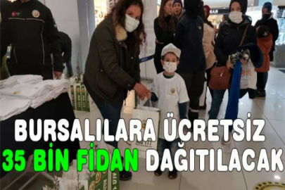 Bursalılara ücretsiz 35 bin fidan dağıtılacak