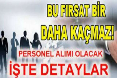 Mudanya Üniversitesi Akademik Personel alım ilanı