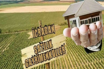 Pınarbaşı Gazi Mahallesi'nde kargir ev ve tarlası icradan satılıktır