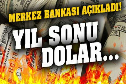 Merkez bankası açıkladı! İşte yıl sonu dolar ve enflasyon beklentisi