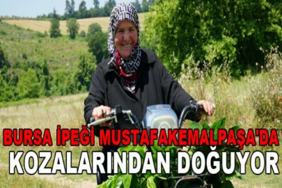 Bursa ipeği Mustafakemalpaşa'da kozalarından doğuyor