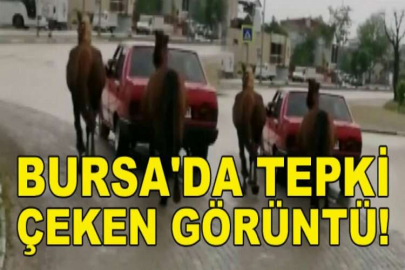 Bursa'da tepki çeken görüntü