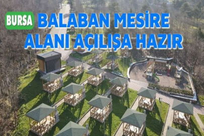 BALABAN MESİRE ALANI AÇILIŞA HAZIR