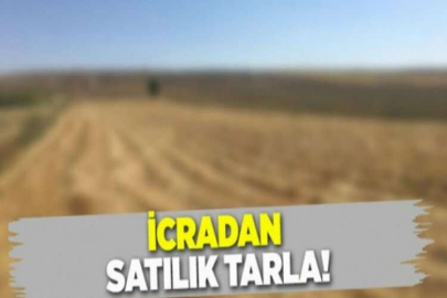 Konya Yunak'ta 32.169 m² tarla icradan satılıktır (çoklu satış) Düzeltme İlanına Git