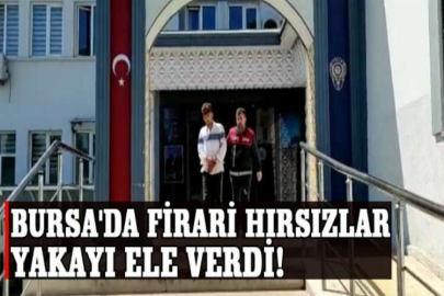 Bursa'da firari hırsızlar yakayı ele verdi