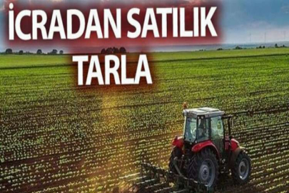 İzmir Çeşme'de 627 m² tarla mahkemeden satılıktır