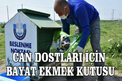 Can dostları için bayat ekmek kutusu