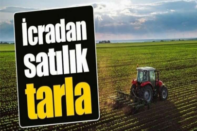 Erzurum Pasinler Çöğender Mahallesinde 32.060 m² sulu tarım arazisi icradan satılık