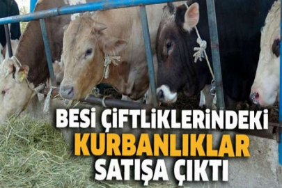 Nevşehir Gülşehir'de besi çiftliği icradan satılıktır