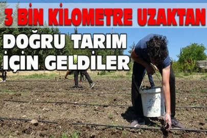 3 bin kilometre uzaktan doğru tarım için geldiler