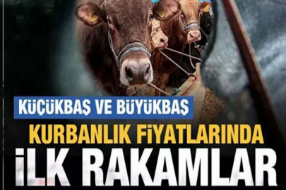 Kurbanlık fiyatları büyükbaşta 30 ile 50 bin TL arasında değişiyor