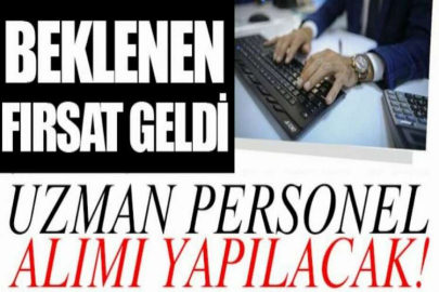 Doğu Marmara Kalkınma Ajansı Uzman Personel alım ilanı