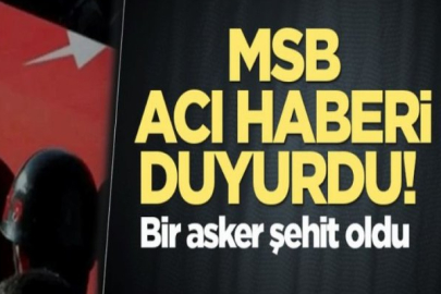 MSB acı haberi duyurdu! Uzman Çavuş Ramazan Gök şehit oldu