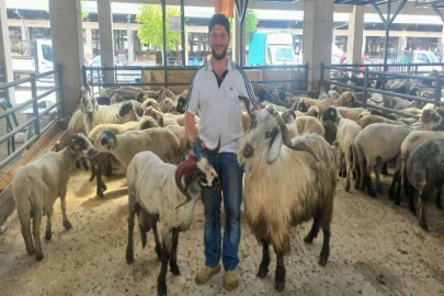 138 kilo ile kurban pazarının en cüsseli küçükbaş hayvanı