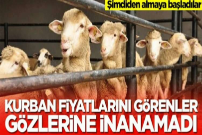 Bursa'da vatandaşlar kurbanlık alımı için son günü bekliyor