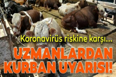 Koronavirüs kabusu... Vakalar artışa geçti, uzmanlardan uyarı geldi!