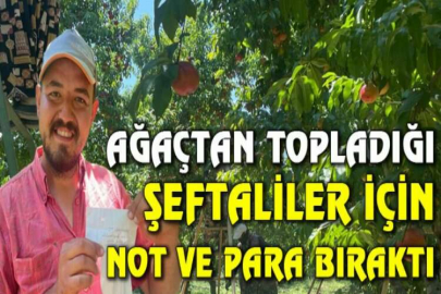 Ağaçtan topladığı şeftaliler için not ve para bıraktı