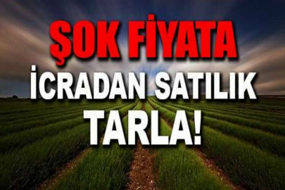 Muğla Seydikemer'de hisseli tarla icradan satılıktır (1/4 hisse)