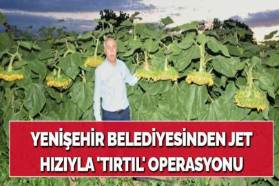 YENİŞEHİR BELEDİYESİNDEN JET HIZIYLA 'TIRTIL' OPERASYONU