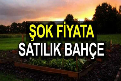 Malatya Hekimhan'da 516 m² meyve bahçesi mahkemeden satılıktır