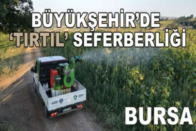 Büyükşehir’de ‘tırtıl’ seferberliği