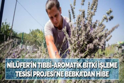 NİLÜFER’İN TIBBİ-AROMATİK BİTKİ İŞLEME TESİSİ PROJESİ’NE BEBKA’DAN HİBE