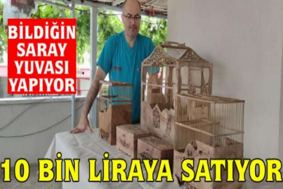 Kuşlara saray yapıp 10 bin liraya satıyor