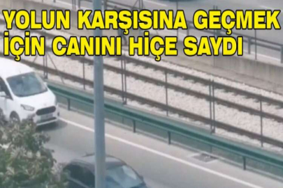 Yolun karşısına geçmek için canını hiçe saydı