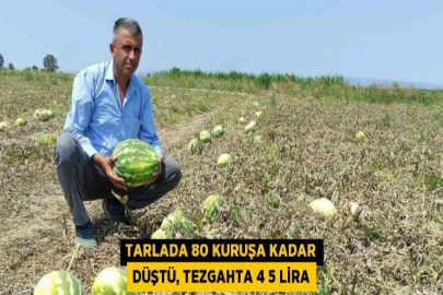 TARLADA 80 KURUŞA KADAR DÜŞTÜ, TEZGAHTA 4 5 LİRA