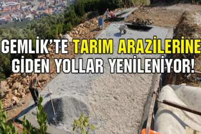 Gemlik’te tarım arazilerine giden yollar yenileniyor