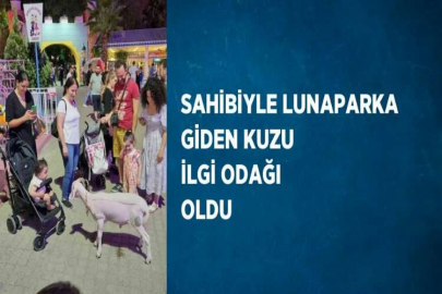 SAHİBİYLE LUNAPARKA GİDEN KUZU İLGİ ODAĞI OLDU