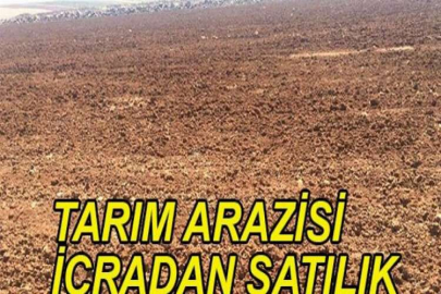 Pınarbaşı Dilciler'de 14682 m² tarım arazisi icradan satılıktır