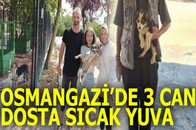 Osmangazi’de 3 can dosta sıcak yuva