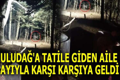 Uludağ'a tatile giden aile ayıyla karşı karşıya geldi