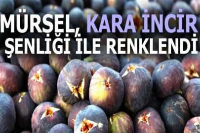 Mürsel, Kara İncir Şenliği ile renklendi